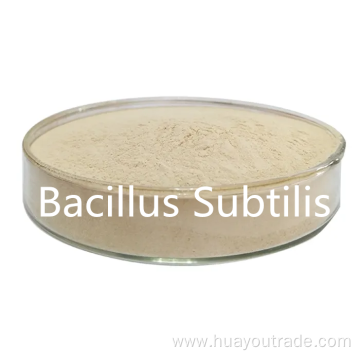 Bacillus subtilis soluble water 400CFU/G for feed additive